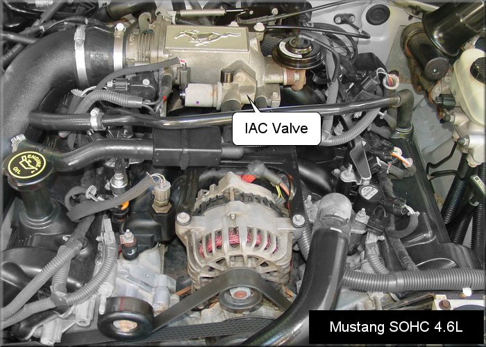 2003 Ford focus iac valve location